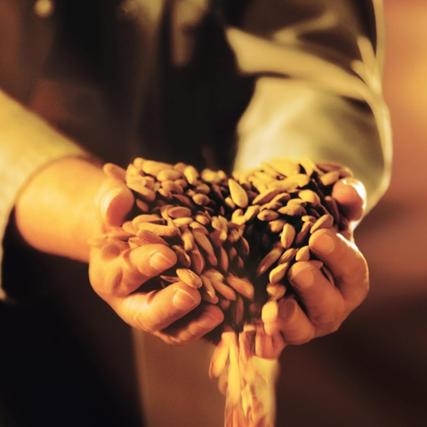 Niederegger Marzipan Stollen, 1er Pack (1 x 750 g)